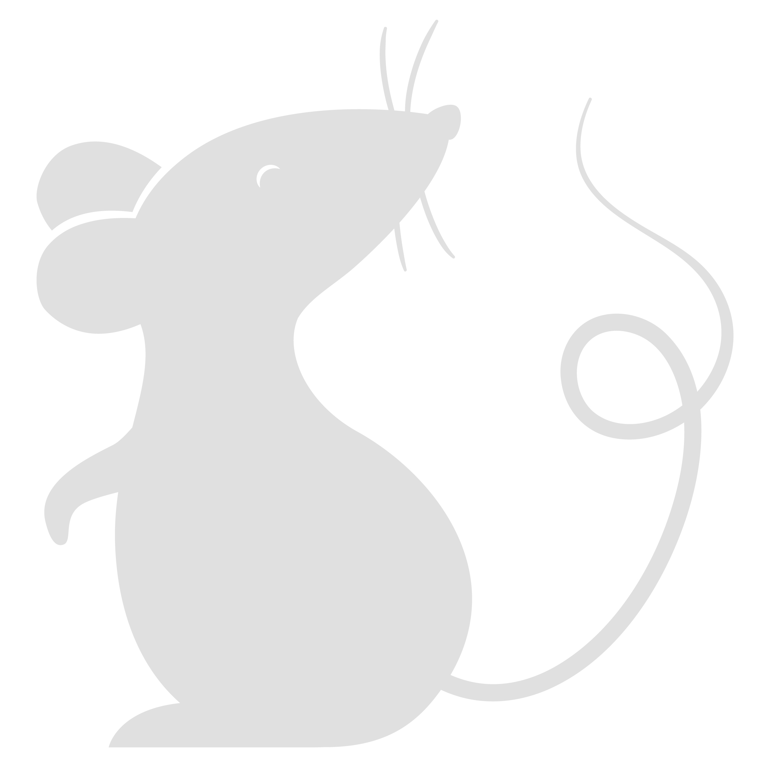 Ralph the Mouse